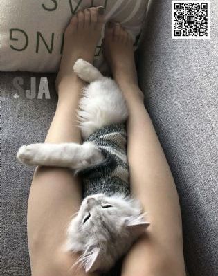 麻花影视免费观看电视剧他是_BD在线观看完整版